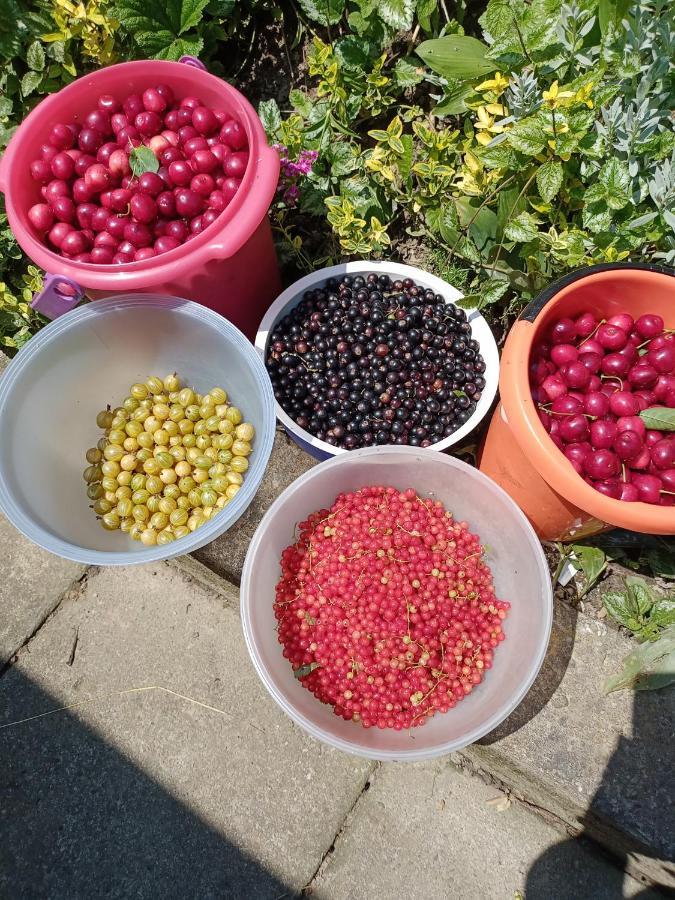 Dabrowka Tuchowska Agroturystyka Janiczek Tuchow المظهر الخارجي الصورة